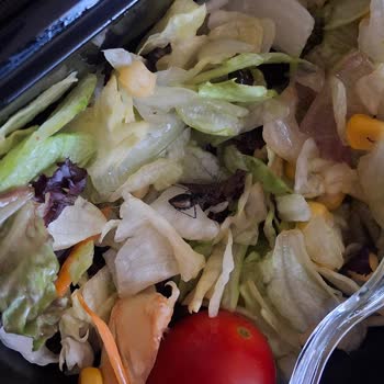 Salatada Böcek Çıkması Nedeniyle Sağlığımız Tehlikeye Atıldı