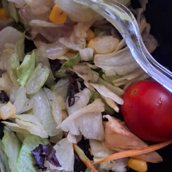 Salatada Böcek Çıkması Nedeniyle Sağlığımız Tehlikeye Atıldı