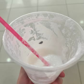 Ayranda Ölü Sinek Ve İlgisiz Yaklaşım: Hijyen Sorunu