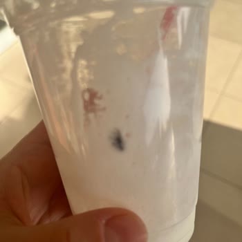 Ayranda Ölü Sinek Ve İlgisiz Yaklaşım: Hijyen Sorunu