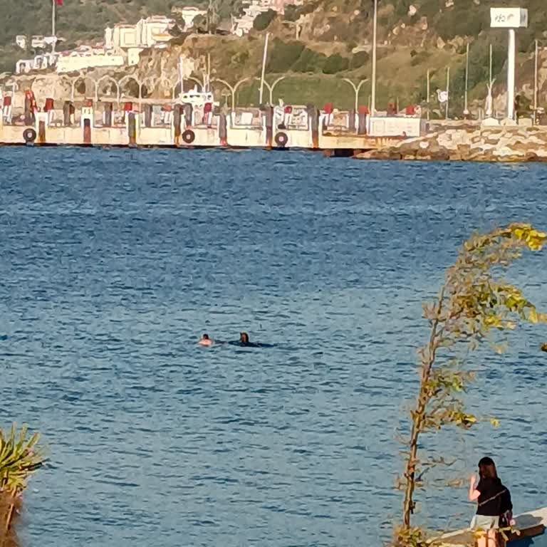 Mudanya Belediyesi Deniz Temizliği ve Hijyen Konusunda Büyük Sorun!