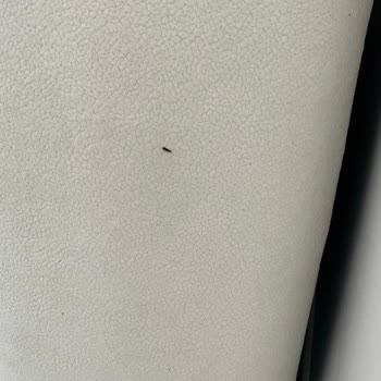 Ömer Premium Memnun Değiliz