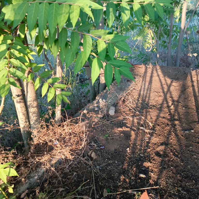 Aldığım Su Motoru Çalışmıyor Servis Desteği De Yok