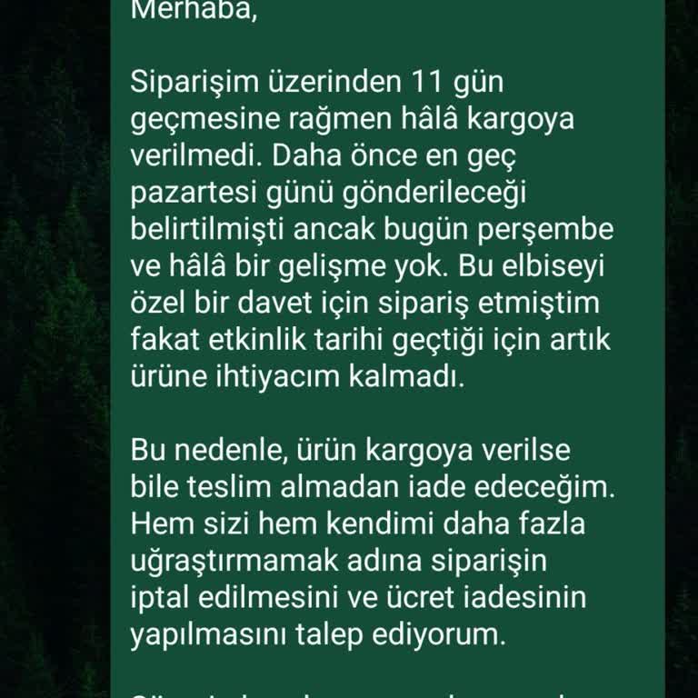 Siparişim Gönderilmedi, Para İadesi Yapılmadı Ve Müşteri Hizmetleri Yanıtsız Kaldı