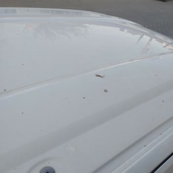 Bakım Sonrası Aracın Temiz Teslim Edilmemesi Ve Süreklilik Gösteren Sorun