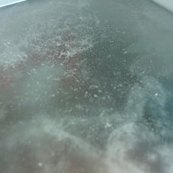 Bosch No Frost Buzdolabında Erken Dönem Buzlanma Ve Yetersiz Servis Desteği