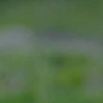 Yurt Dışında Vodafone Hattım Çekmiyor İnternet Kullanamıyorum