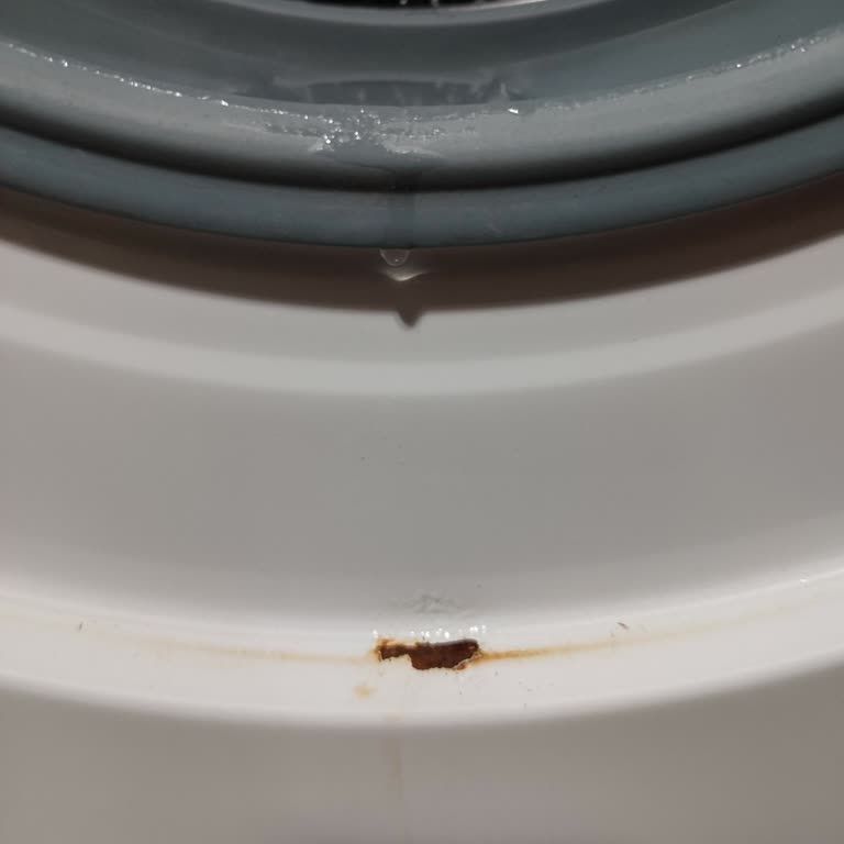 Yeni Alınan Çamaşır Makinesinde Kısa Sürede Paslanma Ve Kalite Sorunu