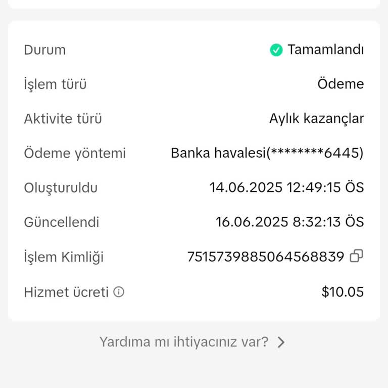 TikTok Kazandığım Para 10 Gündür Hesabıma Yatmadı