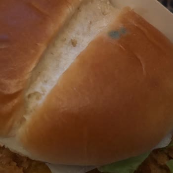 Siparişimde Eksik Ve Küflenmiş Ürün Gönderildi, Hijyen Sorunu Yaşadım