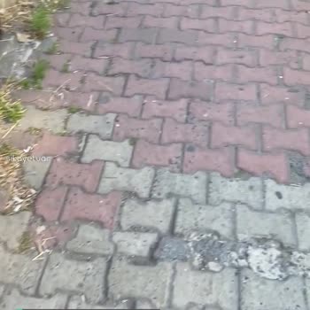 Eyüpsultan Belediyesi Temizlik İşleri Müdürlüğü Uyuyor Mu?