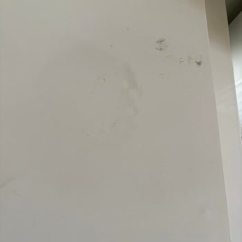 Çam Temizlik Şirketi'nden Aldığımız Hizmette Hayal Kırıklığı Ve Eksik Temizlik