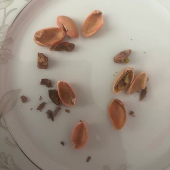 Eksik Ve Bozuk Ürün Gönderen Satıcı, İade Sürecinde Mağduriyet