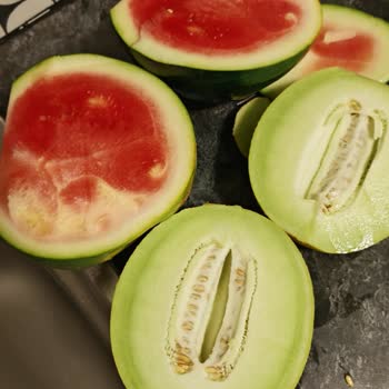 Migros'tan Alınan Karpuz Ve Kavunun Tatsız Ve Kalitesiz Çıkması Şaşkınlık Yarattı