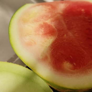 Migros'tan Alınan Karpuz Ve Kavunun Tatsız Ve Kalitesiz Çıkması Şaşkınlık Yarattı