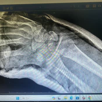 Parnassius Hotel'den Şikayetçiyim