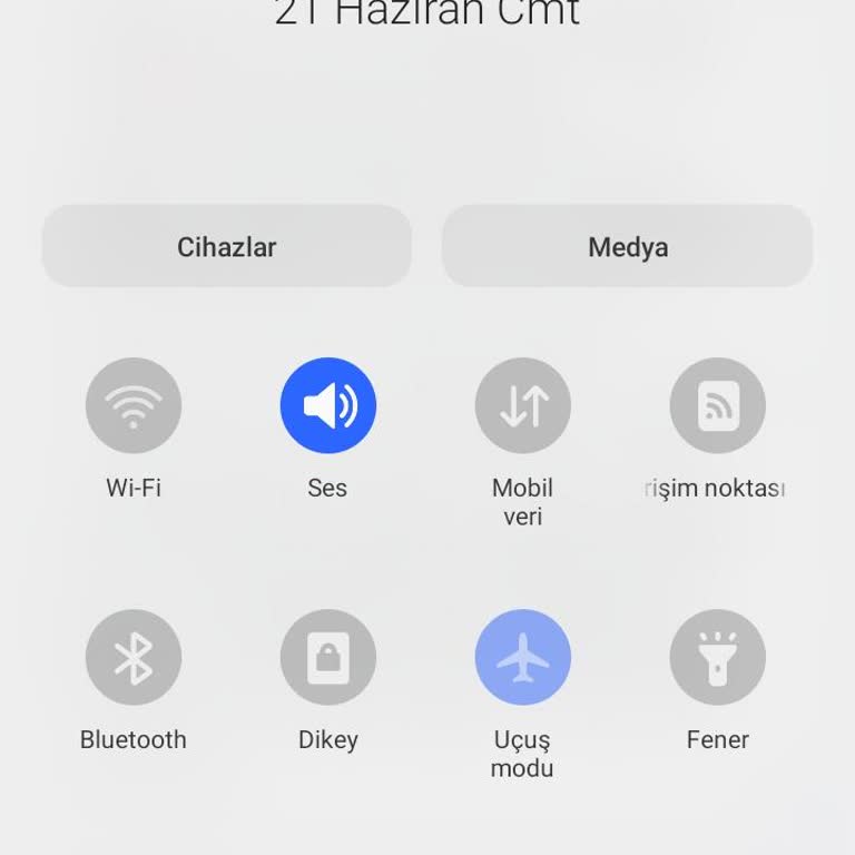 My Samsung Phone Lost Signal - It's Stuck in Airplane Mode
