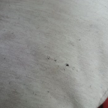 Kurutma Makinesi Kıyafetlerimi Deliyor Ve Küçültüyor