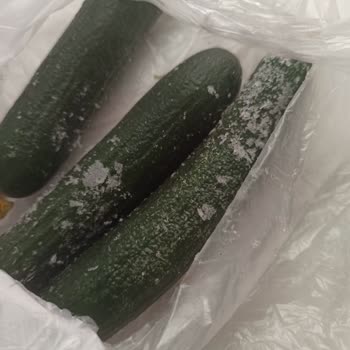 My Bosch Refrigerator Is Broken: 54 Days of Hell