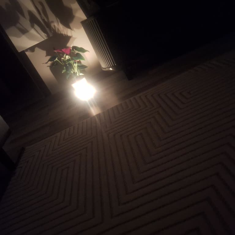 Antalya Kepez Erenköy Mahallesinde Sürekli Elektrik Kesintisi Ve İlgisizlik