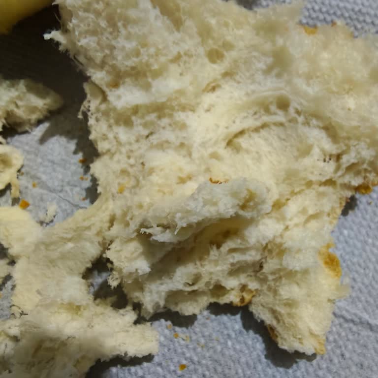 Aldığım Ekmeğin İçinden Lastik Çıkması Ve Güven Sorunu