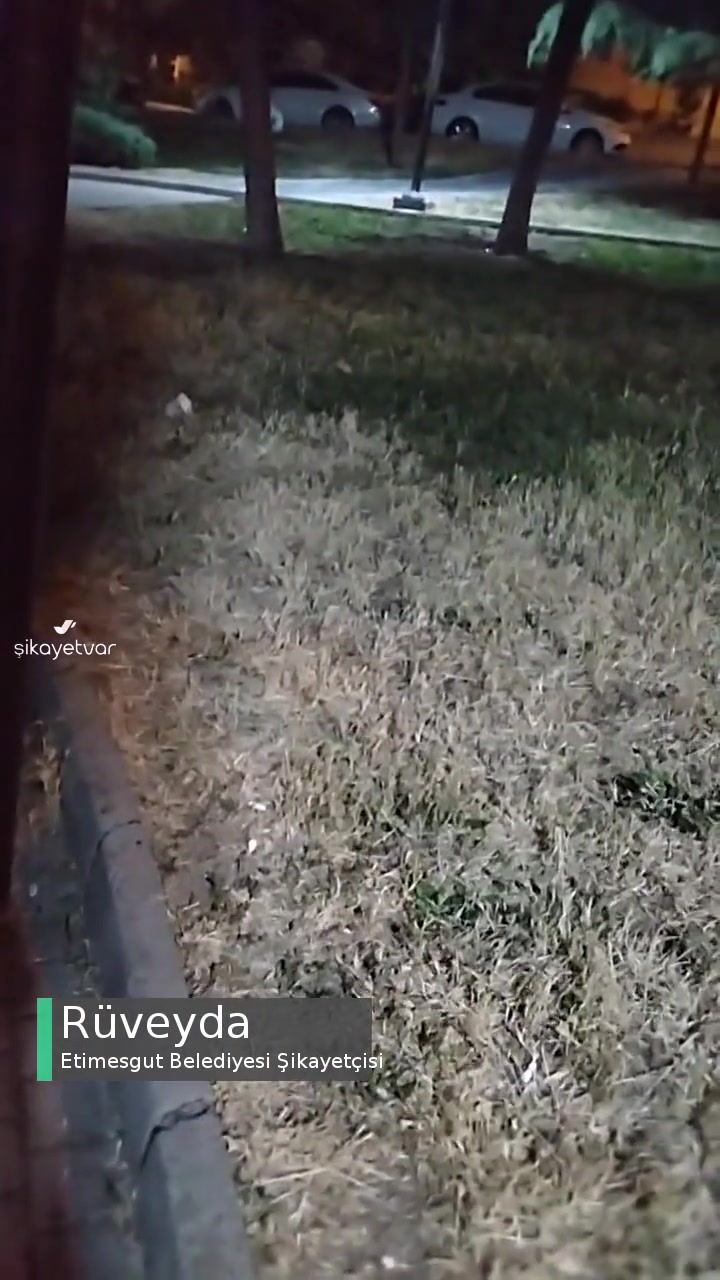 Etimesgut Alsancak Çiğdem Parkı Çok Bakımsız! videonun kapak resmi