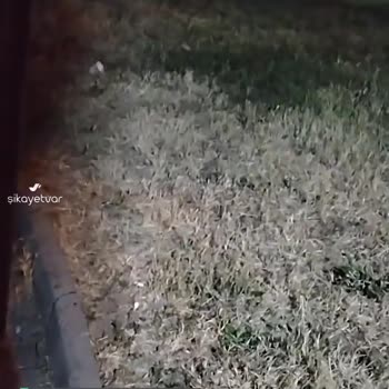 Etimesgut Alsancak Çiğdem Parkı Çok Bakımsız!