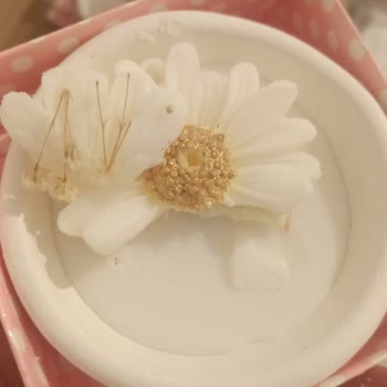 Kargom Kırık Ulaştı Müşterime Zarar Ettim