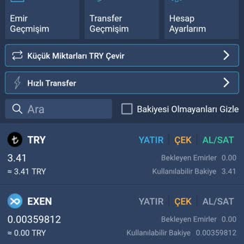Bitexen Hesabında Para Ve Coin Sıfırlanma Sorunu Güvenimi Sarsıyor
