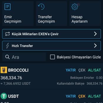 Bitexen Hesabımdaki Coinlerin Habersiz Aktarılması Ve İşlem Sorunu