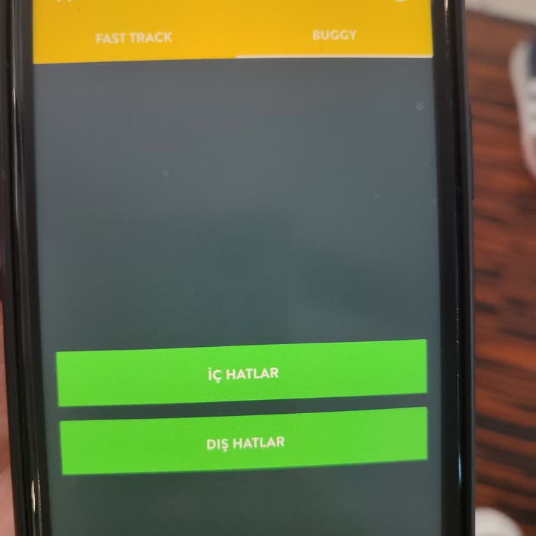Yaşlı Yolcuya Uygunsuz Davranış Ve Yetersiz Buggy Hizmeti