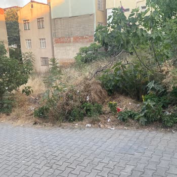 Boş Arazi Kötü Koku Ve Tehlike Saçıyor, Temizlik İstiyoruz