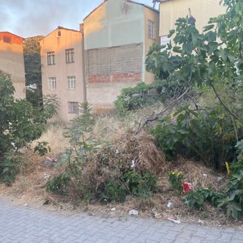 Boş Arazi Kötü Koku Ve Tehlike Saçıyor, Temizlik İstiyoruz