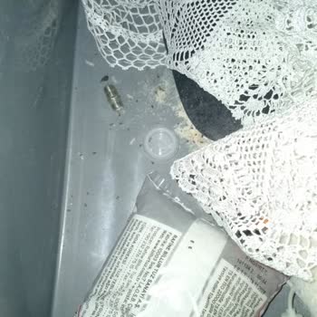 Söke Un'dan Kaynaklanan Böcek Sorunu Hayatımızı Zorlaştırdı