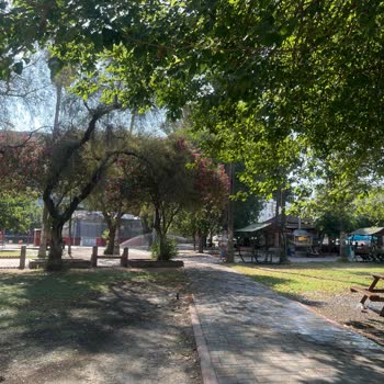 Atatürk Parkı'nda Sulama Sorunu: Yollar Ve Oyun Alanları Sürekli Islanıyor