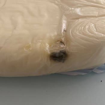 Migros Hemen Küflü Kaşar Gönderdi Müşteri Hizmetleri İlgilenmedi