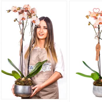 Sipariş Ettiğim Orkide Yerine Farklı Çiçek Ve Kötü Müşteri Hizmeti