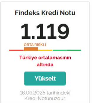 Findeks Puanım Yanlış Risk Grubunda Değerlendiriliyor