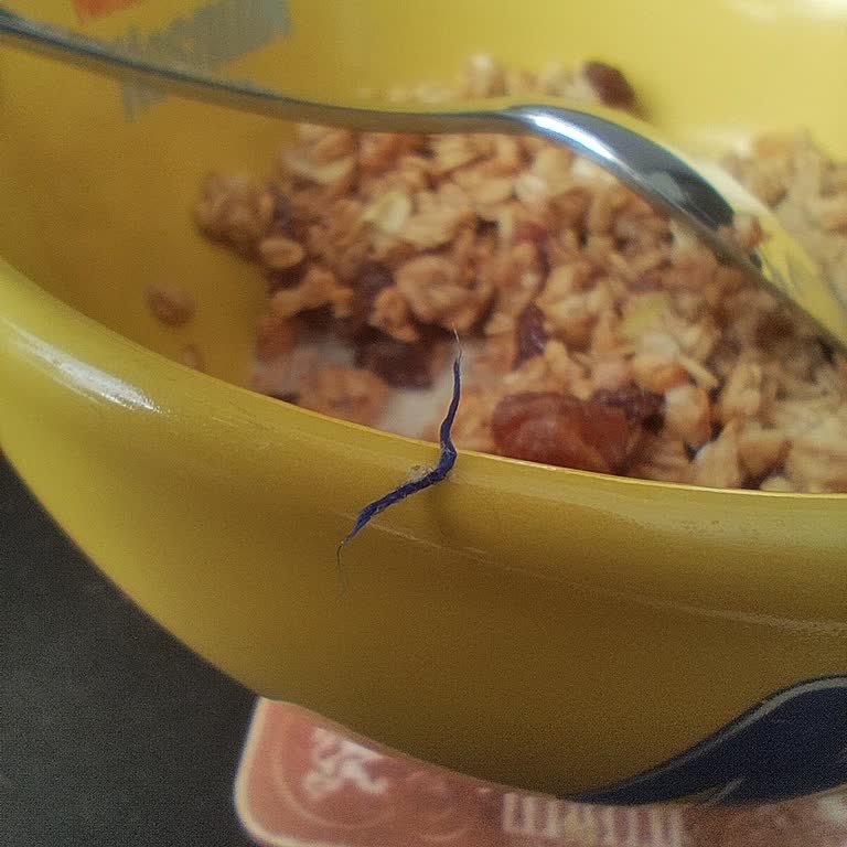 Müsli Paketinden Çıkan İp Şaşkınlığı Ve Hijyen Endişesi