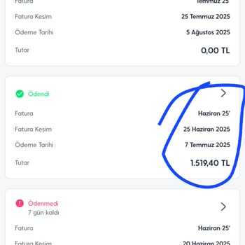 Cayma Bedelindeki Ani Artış Ve Fatura Detaylarına Erişememe Sorunu