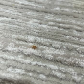 Halı Yıkama Sonrası Lekeler Ve Olumsuz Müşteri Yaklaşımı