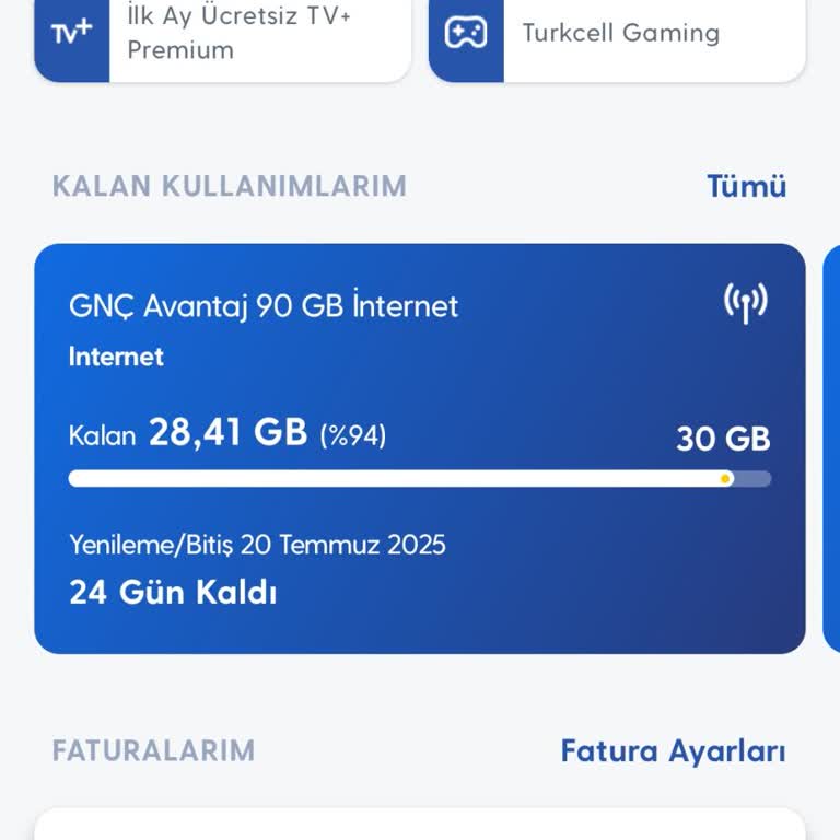 Yurt Dışı Kullanım Ve Fatura Şoku, Veri Tüketiminde Anormallik