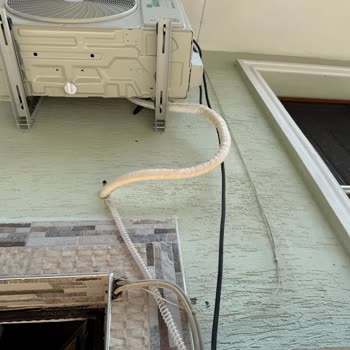 Baymak'tan Şikayetçiyim