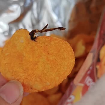 Cips Paketinden Çıkan Yabancı Madde Hijyen Endişesi Yarattı