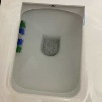 ECA Serel Kanalsız Klozetin Tasarım Hataları Ve Kullanım Sorunları