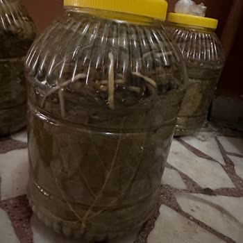 Sipariş Edilen Ürünler Instagram'daki Gibi Çıkmadı, Eski Ve Kalitesiz Ürün Gönderildi