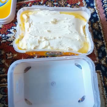 Aldığım Margarin Kutusunda Kırık Ve Paketleme Sorunu Yaşadım