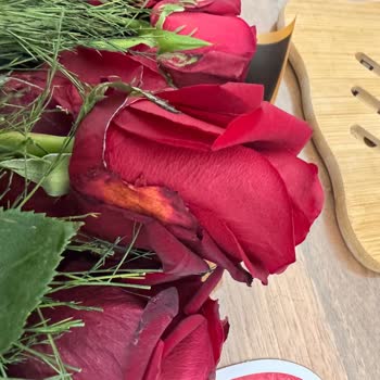 Çiçek Sepeti'nden İki Siparişte De Hayal Kırıklığı Ve Ücret İadesi Sorunu