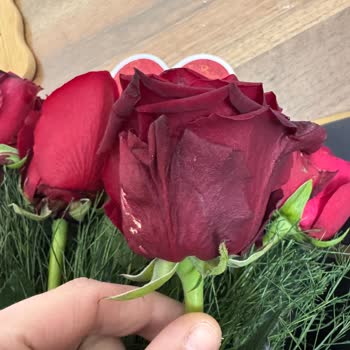 Çiçek Sepeti'nden İki Siparişte De Hayal Kırıklığı Ve Ücret İadesi Sorunu