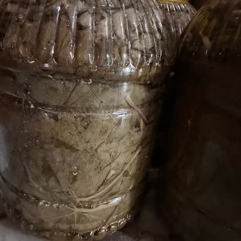 Aldığım Ürünler Instagram'dakilerle Alakasız Çıktı!